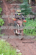 IMG-0453