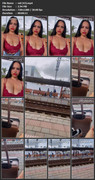 vid-(43)-mp4
