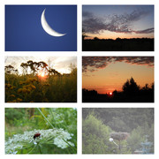 pieknywachodsloncadzis