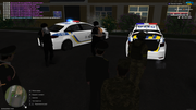 03-postac-vid-npu