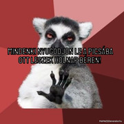 Kép