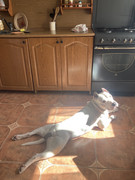 33476D1B-DE02-4A5B-8731-BE5E9CADAF8A