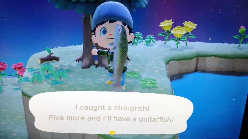 stringfish.jpg