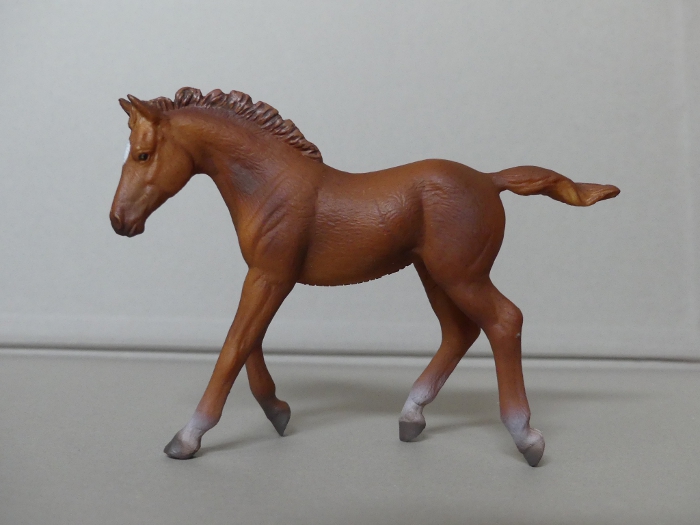 Pictures for Toy Animal Wiki - Page 14 Thoroughbred-Foal-Walking