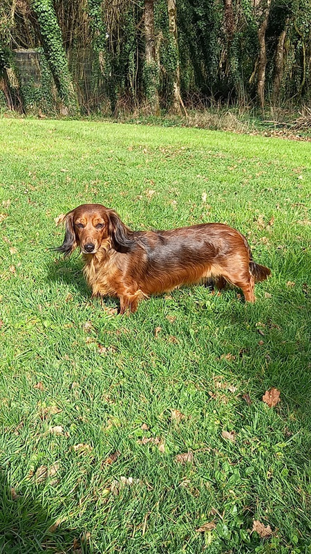 [Image: 20250222-145448.jpg]