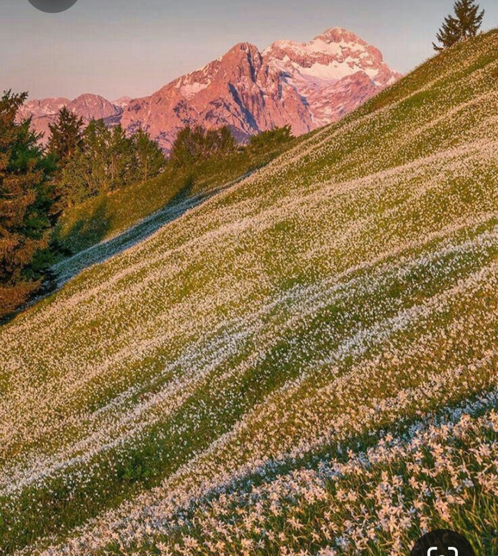 Screenshot_20231024_191121_Pinterest