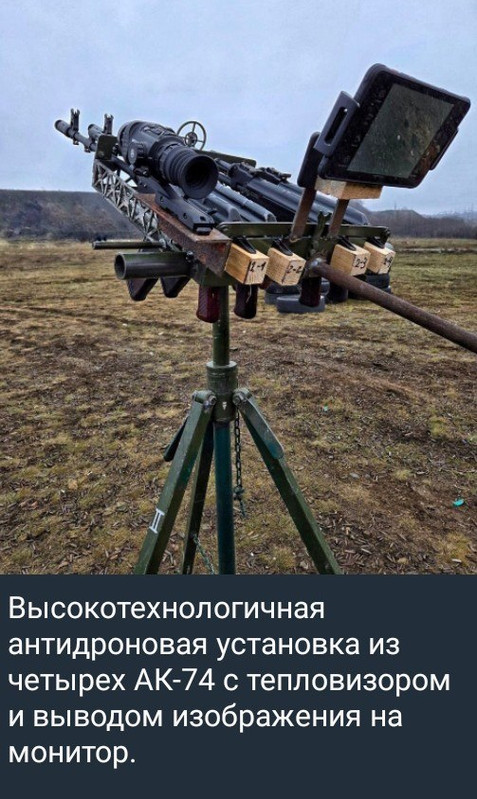 photo 2026 05 31 03 52 53