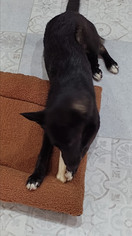 IMG_20211002_112326 — копия