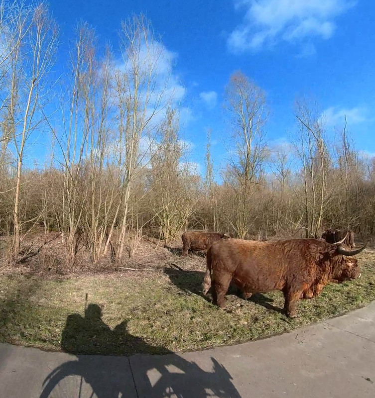 [Afbeelding: schaduw.jpg]