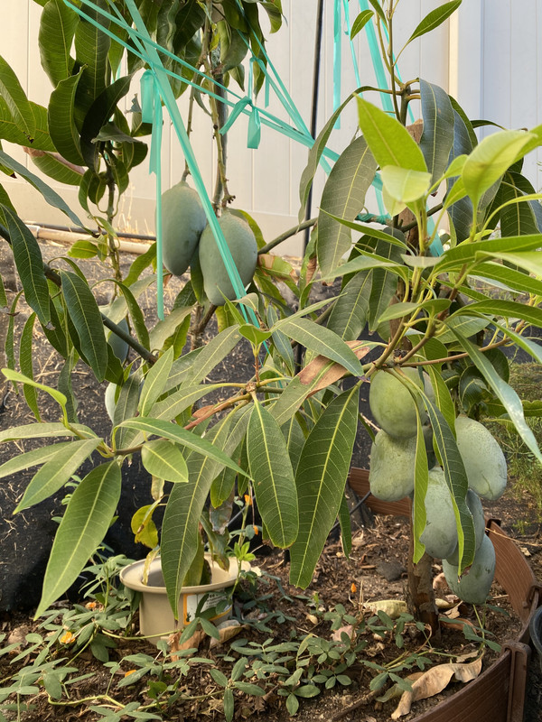 1E5C21A6-EA51-4929-A6D4-37761981AF8D