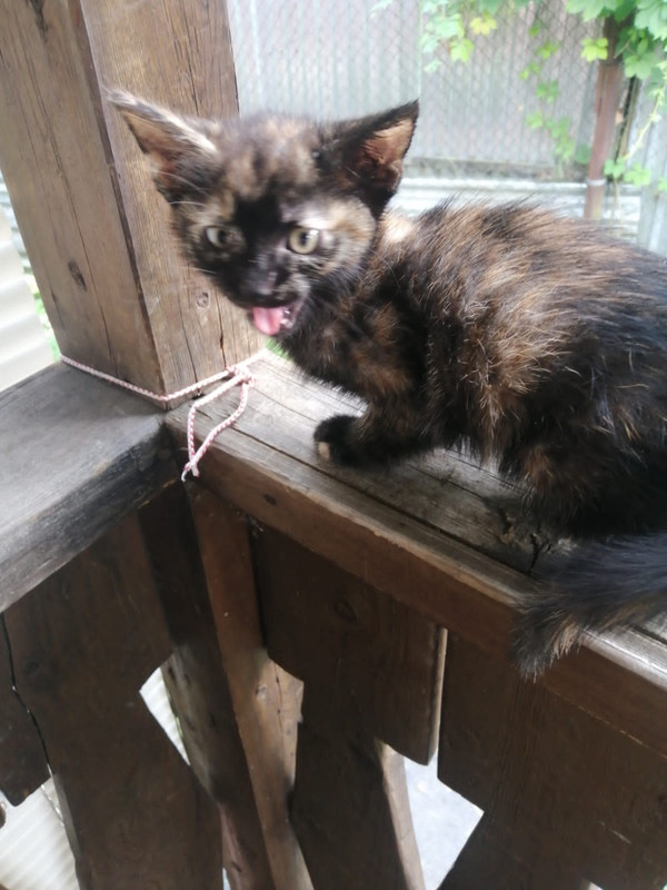 36C61422-F5AA-419E-B5B9-653E6AFC0CFB