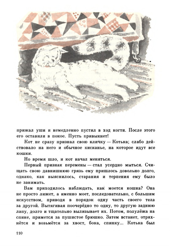 Rabinin-Boris-Chudesa-v-reshete-page-0114