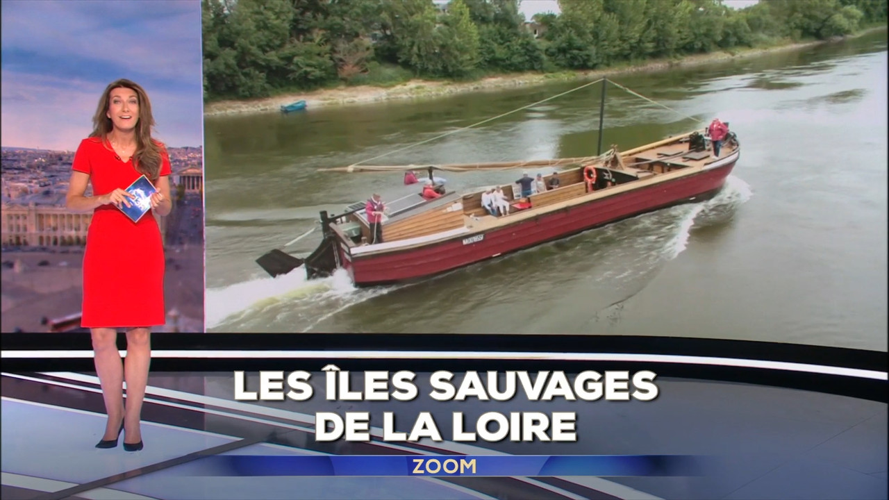 2022-07-10_13_00_TF1_Le-13h.mp4_snapshot_00.05.00.668