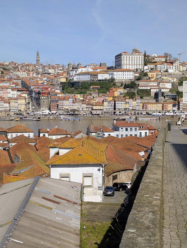 645226177 25585567351142894 8690740763085365424 n