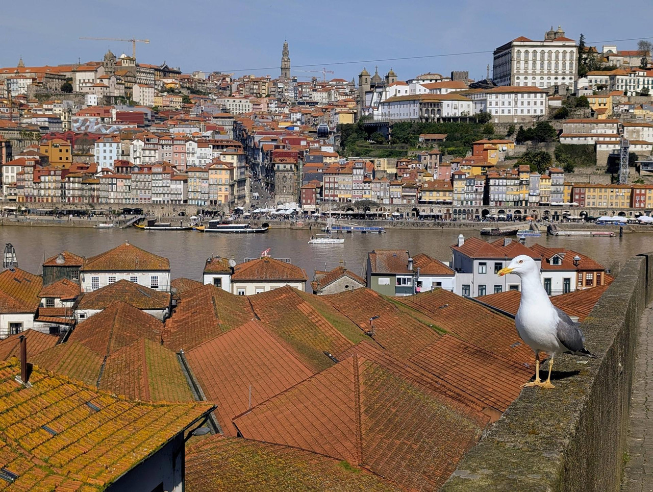 645663754 25585558217810474 2735986140039531320 n