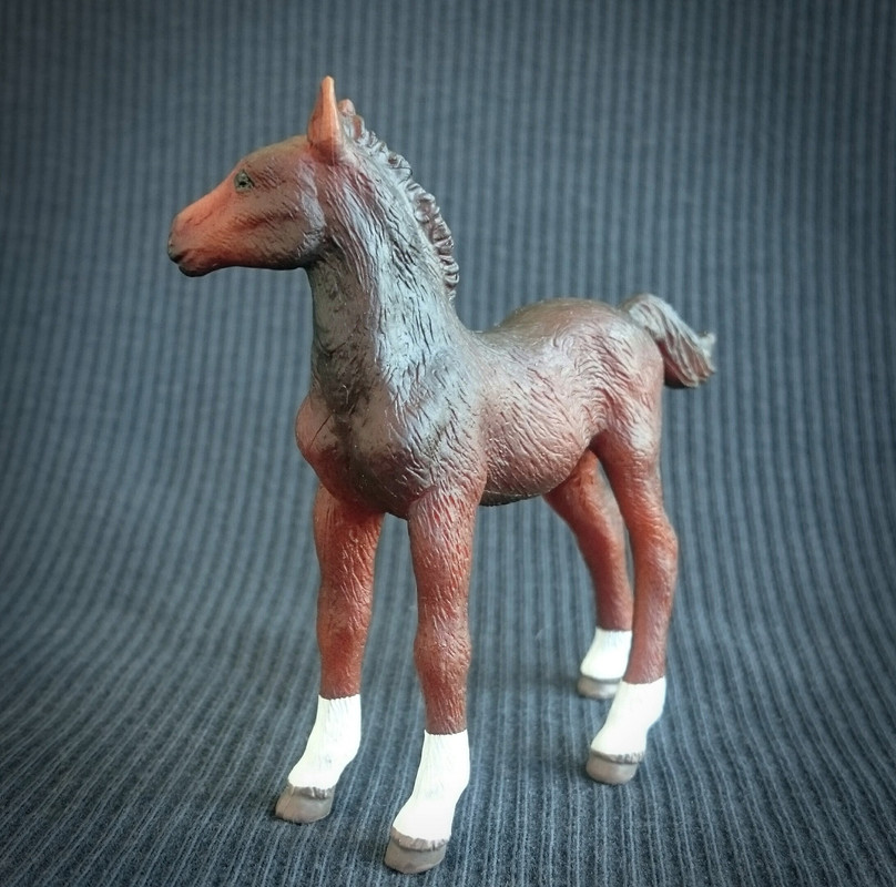 Mojo 2020 - 3 lovely  foals 20200627-112221