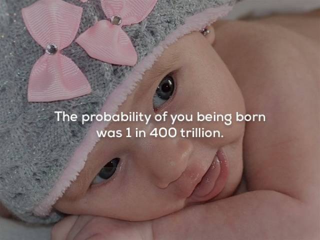Chances-of-being-born