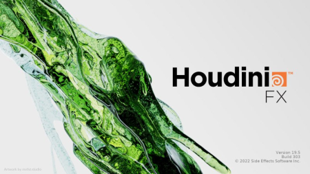 SideFX Houdini FX 19.5.303 (x64)