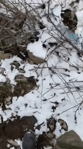 https://i.postimg.cc/m21D5LsH/video-2026-09-20-04-14-09-(1).gif