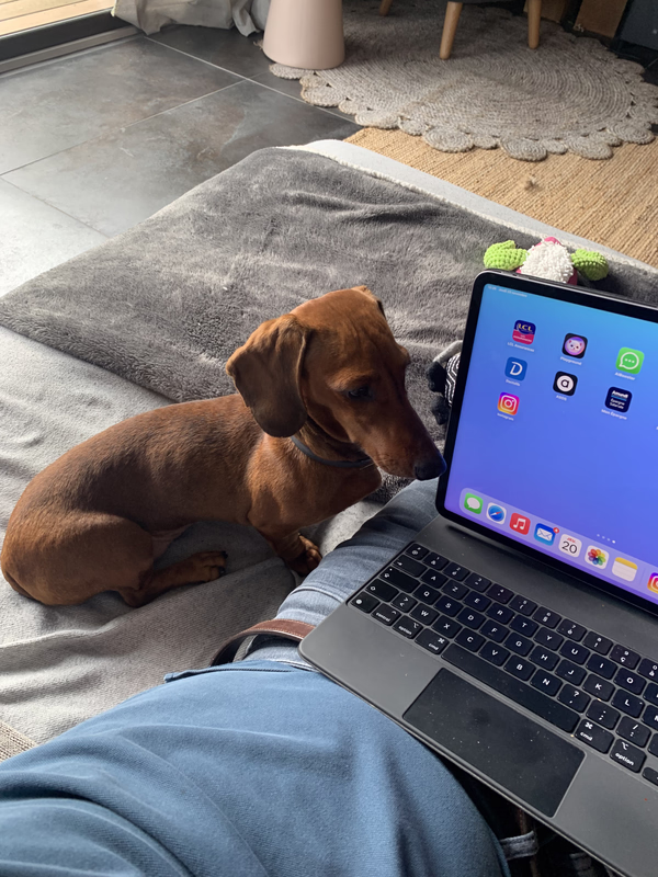 [Image: IMG-20251120-195004.avif]