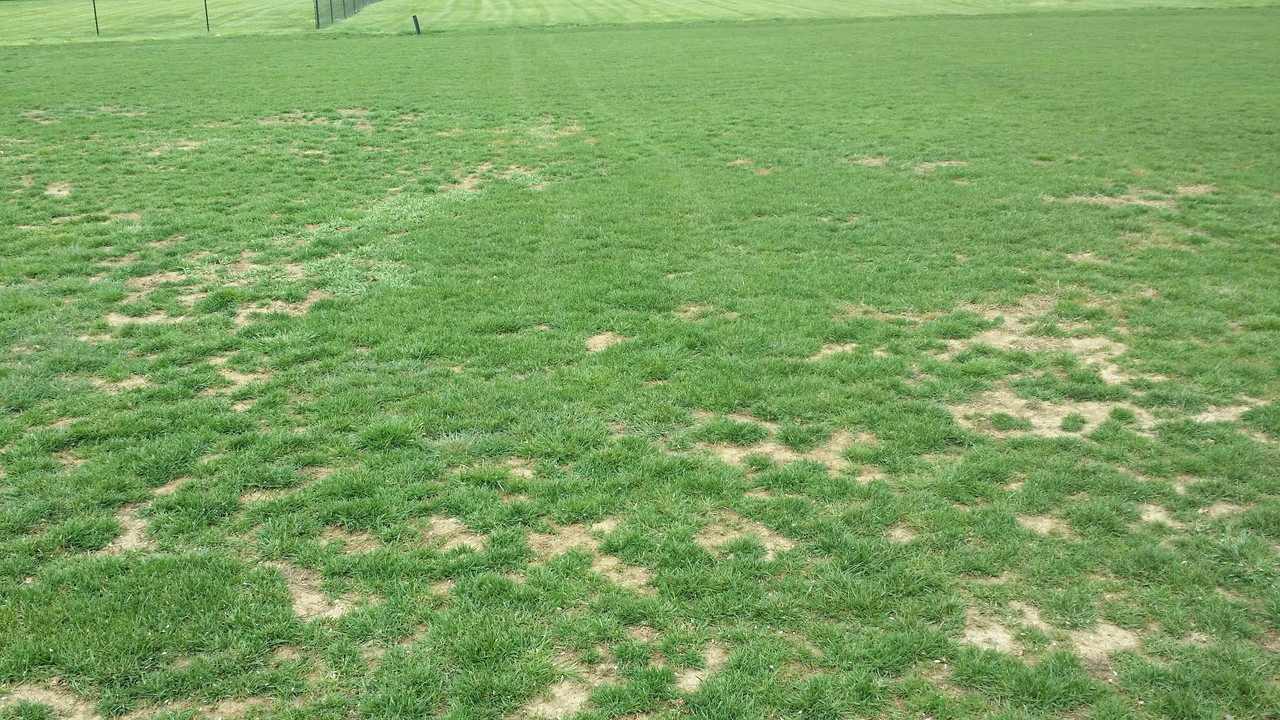 April 10, 2017 at 0307PM