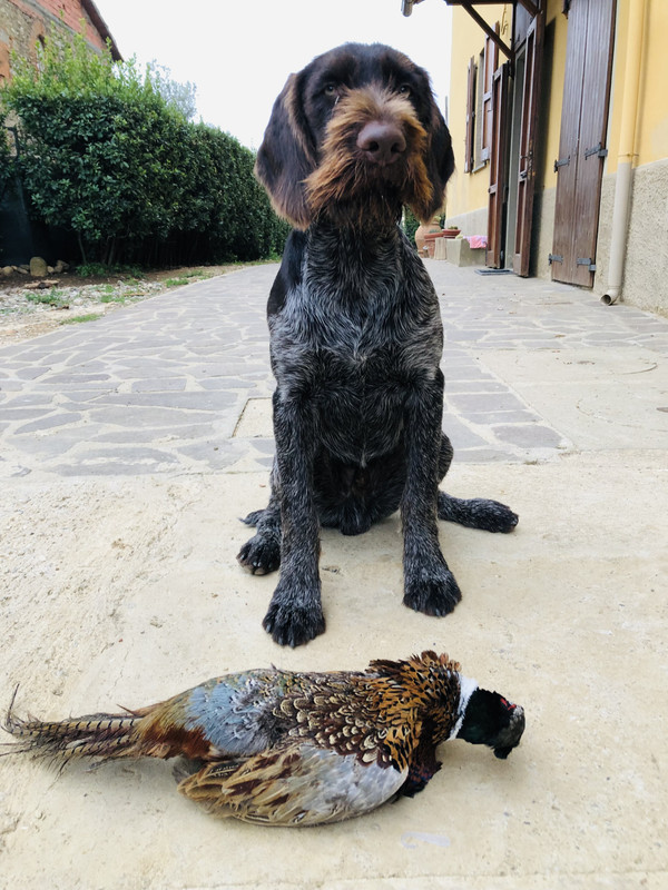 BEE729F1-5137-4F2D-BF17-DFB97A70A072