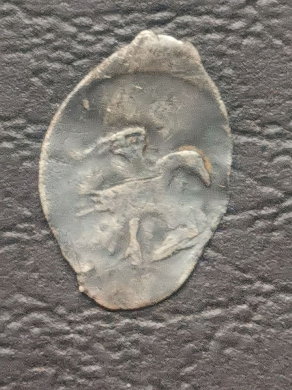 photo_2025-03-13_19-39-32