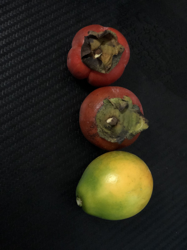 微信图片_20241029014808