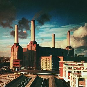 animals vinyl pink floyd