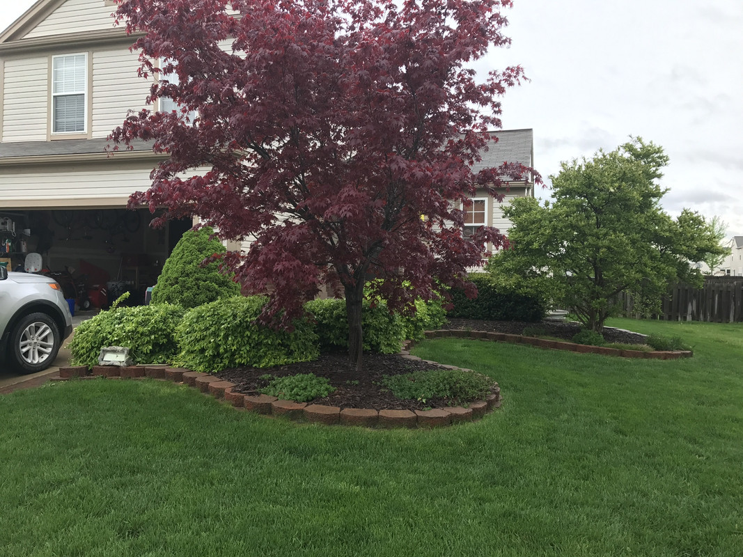 9477E6DC-F31B-415C-8037-7EF36A31208E