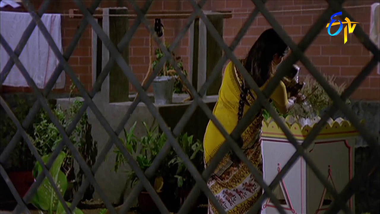 vlcsnap 2026 02 04 13h56m54s348