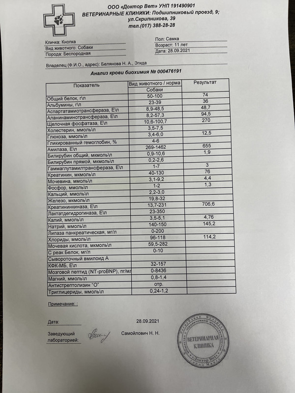 3C16E35B-9282-4724-8A95-F13F831BDF4E