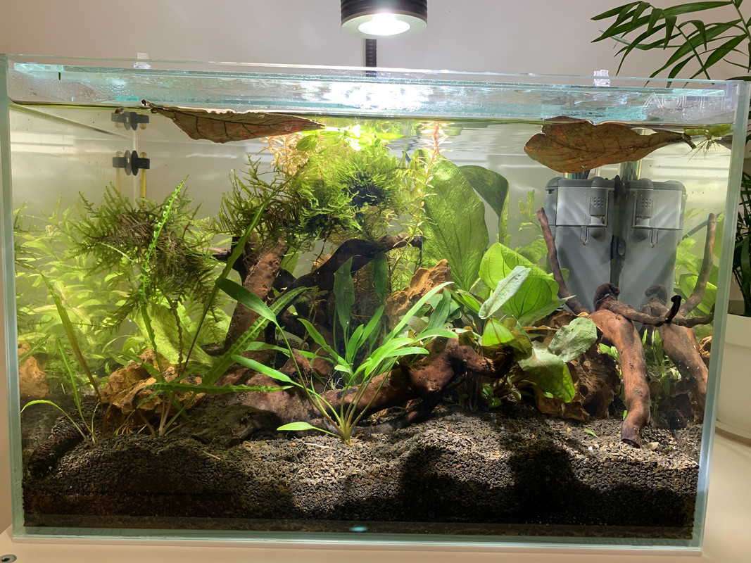 2229E0A1-BB39-4668-A552-C471EF72ADA9