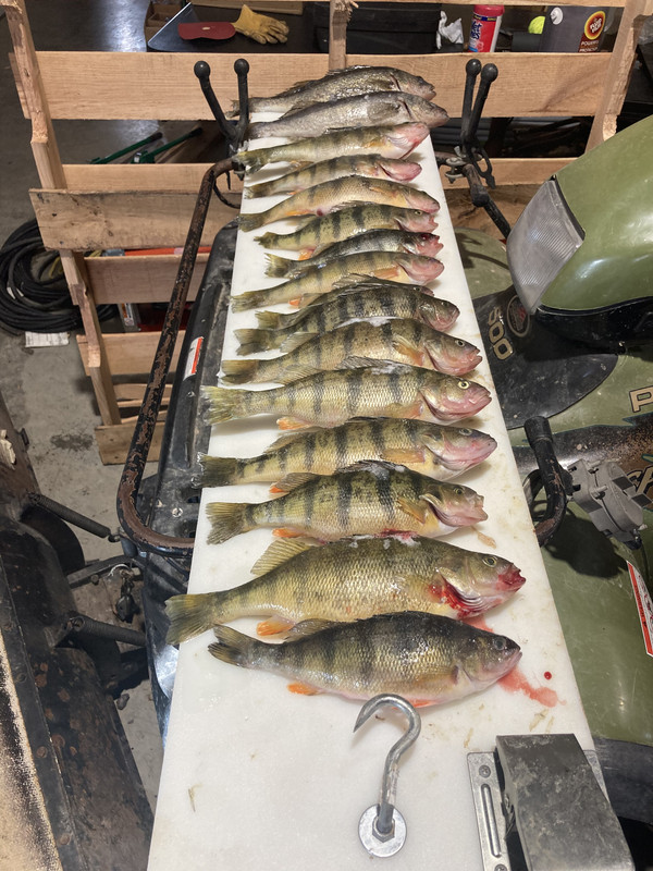 37A3D204-4B38-4657-8442-35649FD4E4B9