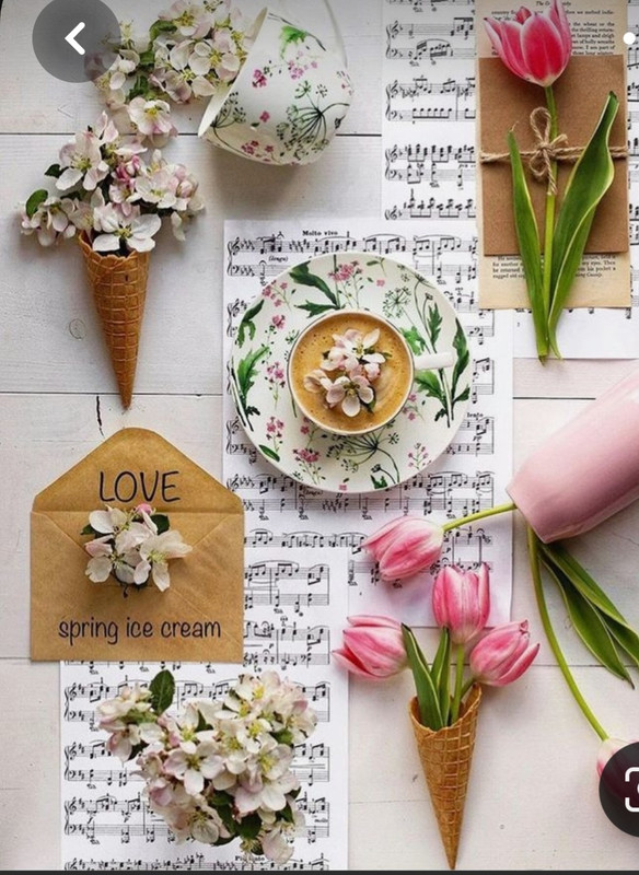 Screenshot_20230301_220544_Pinterest