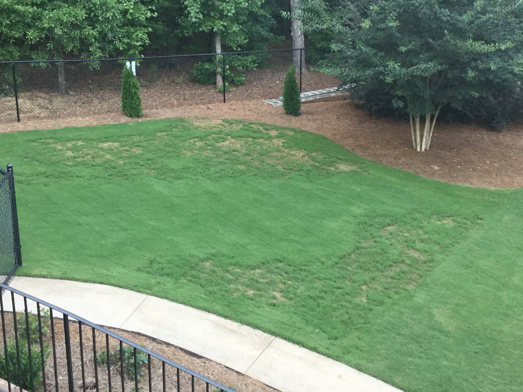 A2270341-F373-452C-A857-B72002CE18D6