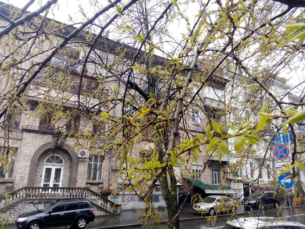 photo_2025-04-01 8.18.01 пп