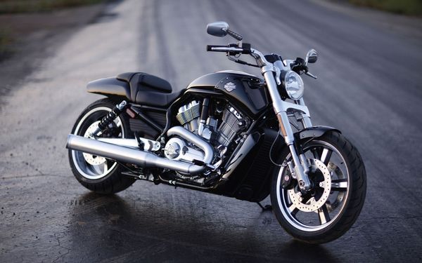 Цены на легендарные мотоциклы Harley-Davidson существенно снижены Цены на легендарные мотоциклы Harley-Davidson существенно снижены