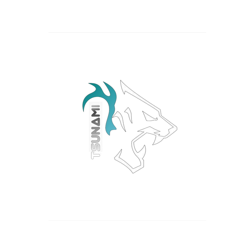 Logo Tsunami