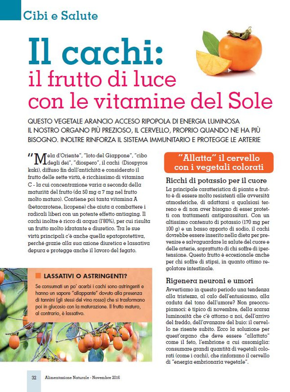 Alim Nat Nov 2016 (5)