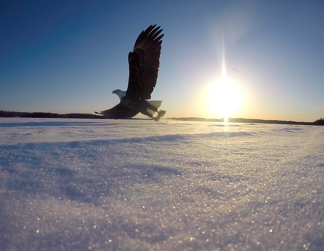 B020151B-5884-4999-B9FE-C3E5BD603D07