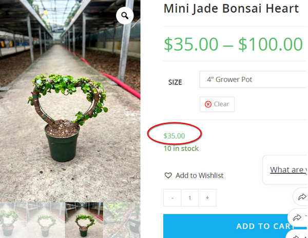 [Image: 2024-07-06-104552.jpg]