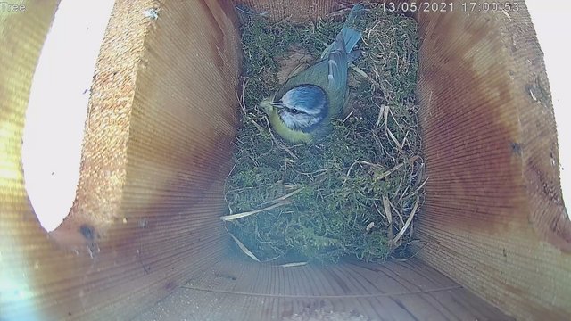 747D9918-FD73-438E-A063-FB50334A7199