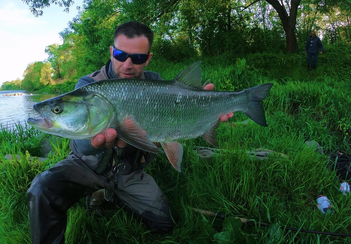 1172E5B6-A40C-4C0B-AE40-3D07110976CE