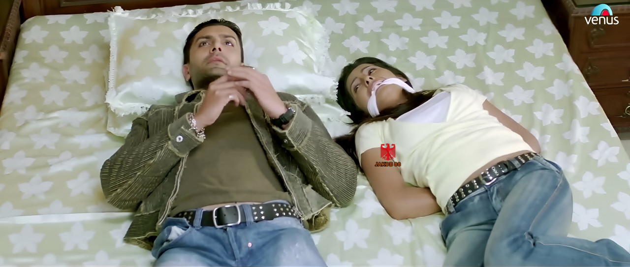 Geeta Basra 4 - The Train 2007