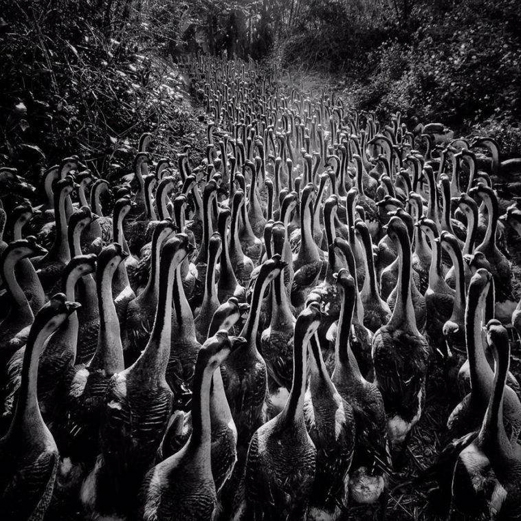 Победители конкурса фотографий, сделанных на iPhone, в очередной раз доказывают, что с помощью телефона можно сделать крутые снимки!