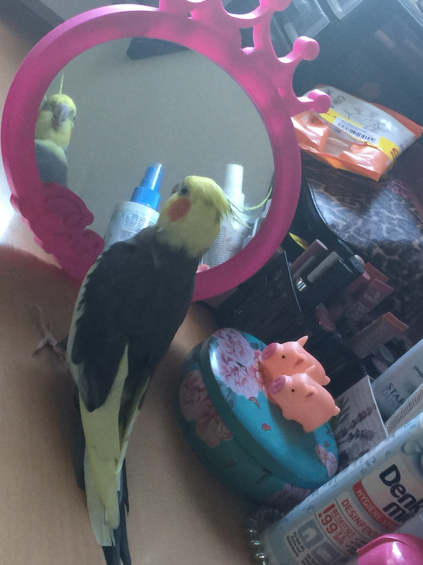 0734AADE-E848-487F-A358-EE880B75A491