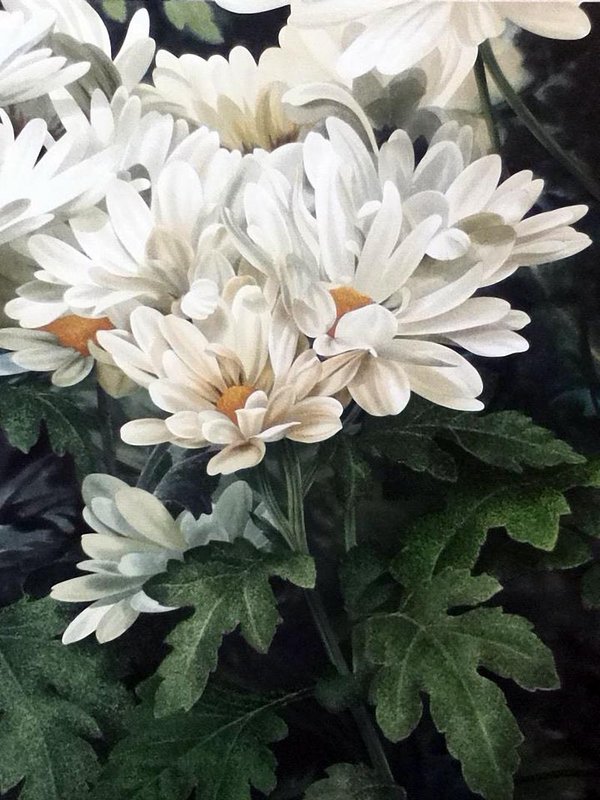 374738-10150450892477759-718782758-8738768-317175337-n