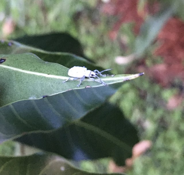 F51BBCEF-FA73-4712-BDA1-26D9F324DA12