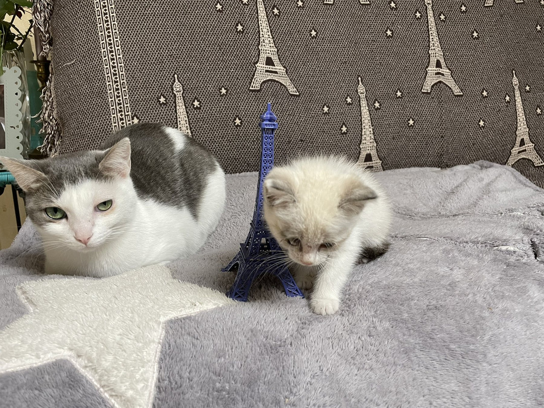 IMG-36c9fe879130e62edabe8f5e7aff587f-V